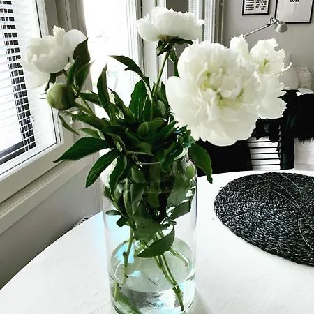 Apartment Cozy Two Bedroom With Sauna, Garden And Terrace *